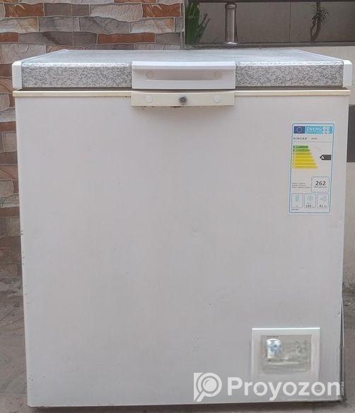 SINGER 250L Deep freeze