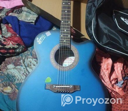 Guiter sell