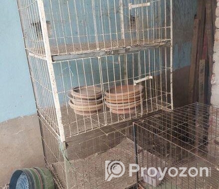 Kobutor Ar Kacha, Hari, Khabar Bati Sell Hobe