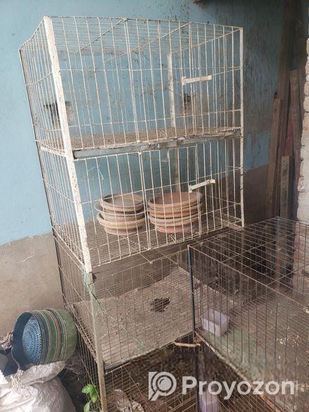 Kobutor Ar Kacha, Hari, Khabar Bati Sell Hobe