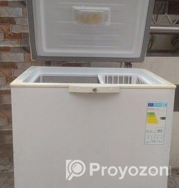SINGER 250L Deep freeze