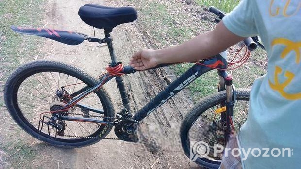 Duranta Bicycle for sale