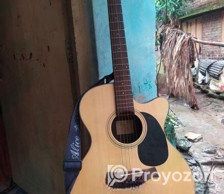 গিটার ফুল ফ্রেশ কন্ডিশন