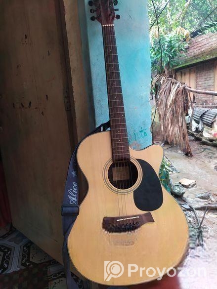 গিটার ফুল ফ্রেশ কন্ডিশন