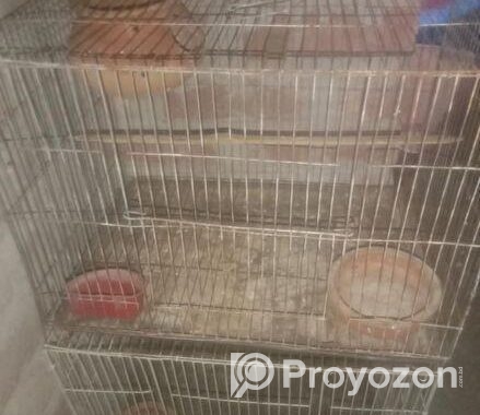 খাঁচা বিক্রি করা হবে