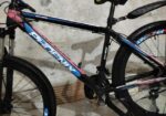 Phoenix for sale