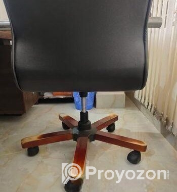 Director Chair