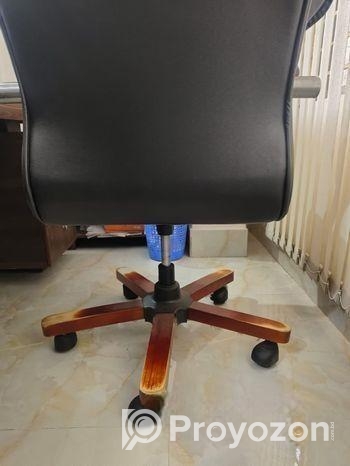Director Chair
