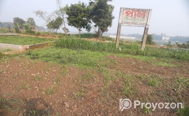 নিষ্কণ্টক, এখনি বসবাস যোগ্য জমি, চানপাড়া, ভদ্রারটে