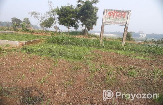 নিষ্কণ্টক, এখনি বসবাস যোগ্য জমি, চানপাড়া, ভদ্রারটে