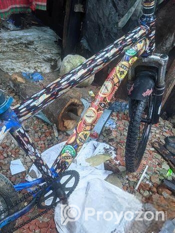 ফ্রেশ সাইকেল