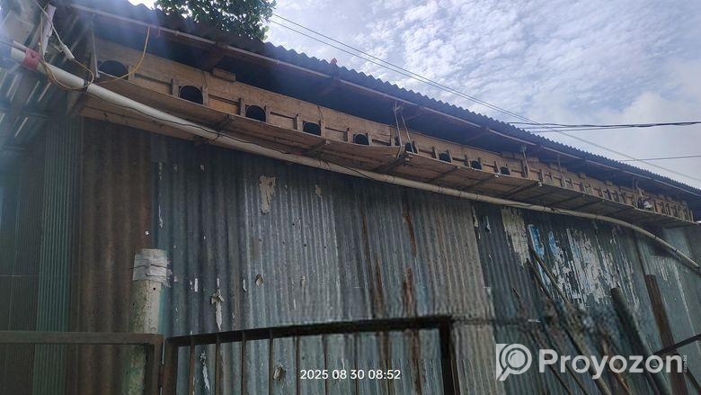 কবুতরের খোপ বিক্রি করবো