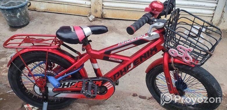 Phoneix 16 size new baby cycle