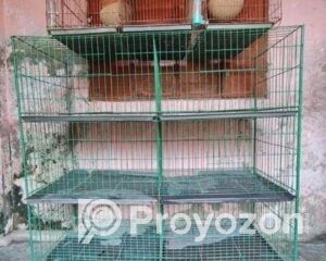 fitted_2025-08-02_13-26-33