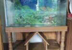 Aquarium 2.5 Fit