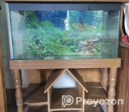 Aquarium 2.5 Fit