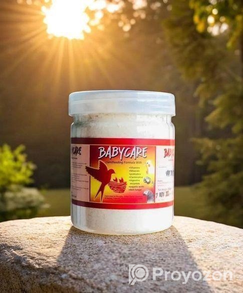 পাখির হ্যান্ড ফিড