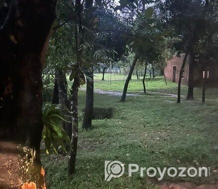 Land For Sell