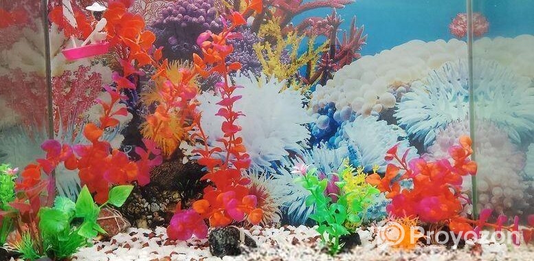 Aquarium Sell