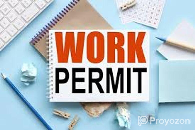 আয়ারল্যান্ড পার্মিট