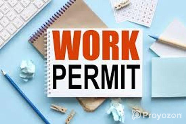 ডেনিশ পার্মিট