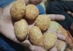 ফুচকা