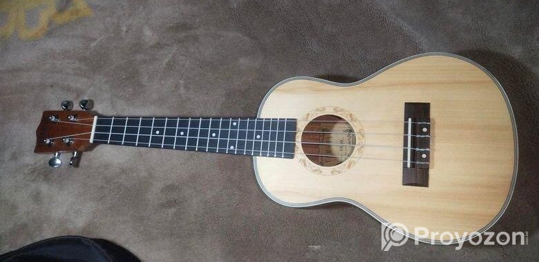 Yamaha Uk24 ইউকেলে