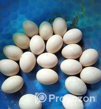 চিনা হাসের ডিম