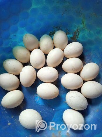 চিনা হাসের ডিম