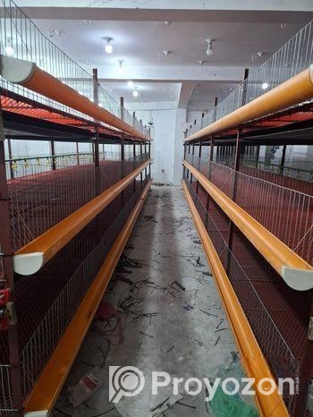 মুরগী পালনের আধুনিক খাচা