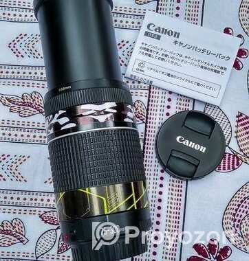 Canon 75-300 Zoom Lens