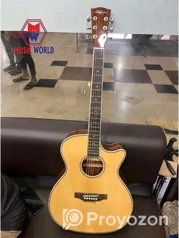 আকর্ষণীয় গিটার | AdamSmith Acoustic Guitar