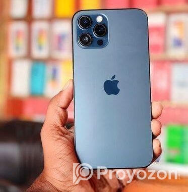 Apple iPhone 12 Pro Max 256GB (Used)