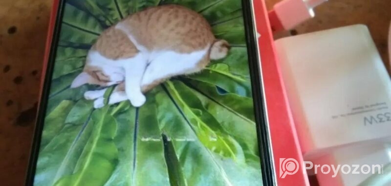 New Realme 13 Pro+ 5G 256 GB Green
