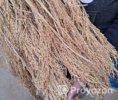 জমি বিক্রয় হবে