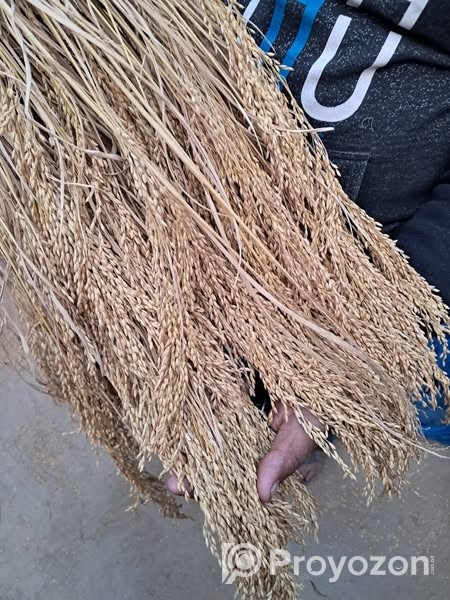 জমি বিক্রয় হবে