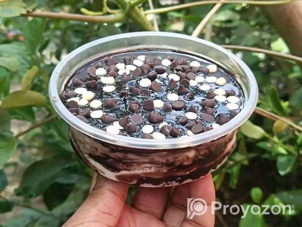 চকলেট প্রিমিয়াম টাব কেক