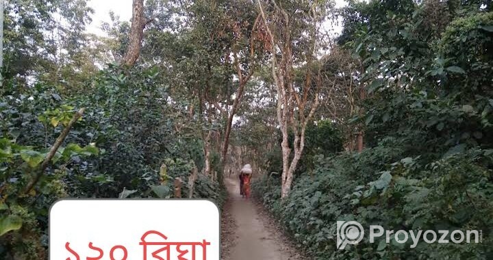 জরুরী ভিওিতে ১২০ বিঘা জমি বিক্রি হবে