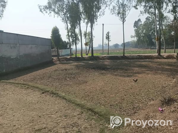 ৫+শতকের একটি আকর্ষণীয় প্লট বিক্রয় হবে