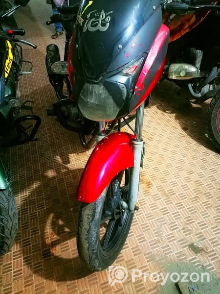 পালসার সিঙ্গেল ডিস্ক