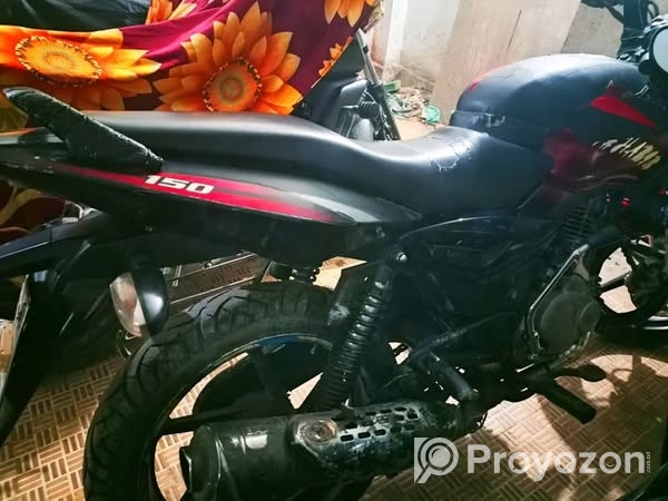 পালসার সিঙ্গেল ডিস্ক