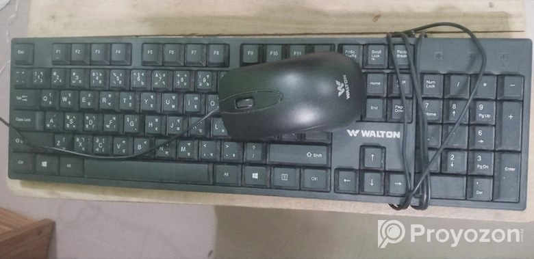 Tamarind Ex Pro