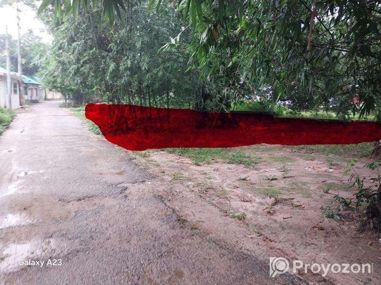 ঠাকুরগাঁও পৌরসভা পাকা রাস্তার পার্শ্বে 4.38 শতক জম