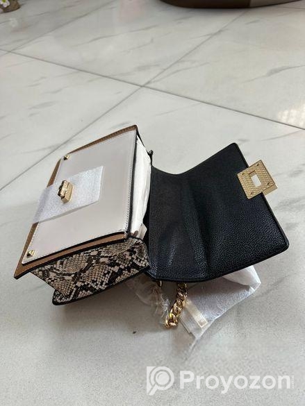 Hand Bags (aldo Band)