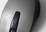 Mouse for sell