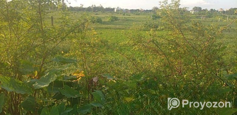 জমি বিক্রয় বিজ্ঞপ্তি