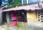 House for sell