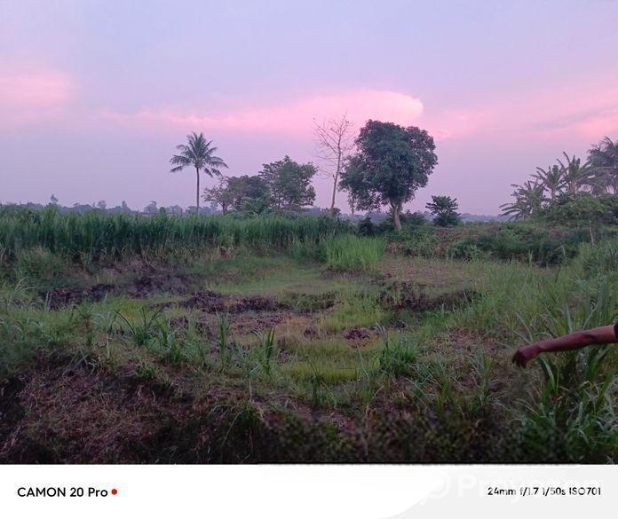 বাগান বাড়ী / ফ্রার্ম করার মত জমি বিক্রিয়।