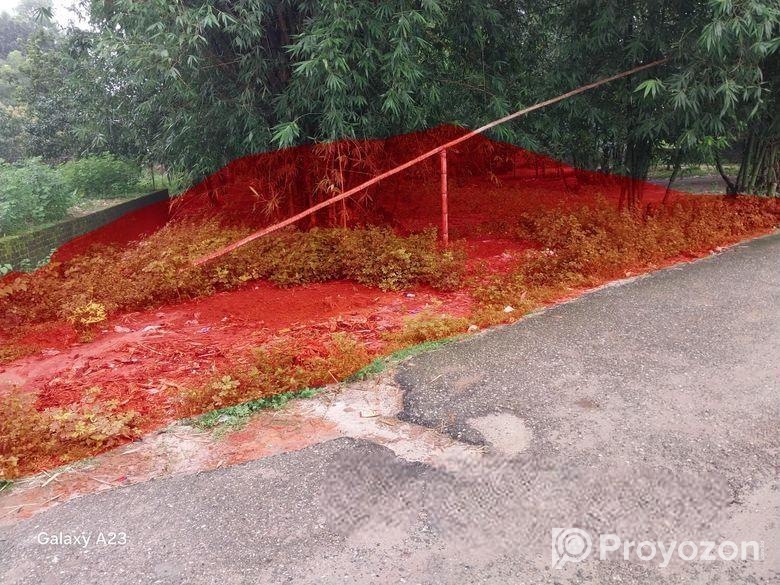 ঠাকুরগাঁও পৌরসভা পাকা রাস্তার পার্শ্বে 4.38 শতক জম