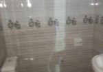 3 Bed, Bath, New Ready Apartment For Rent